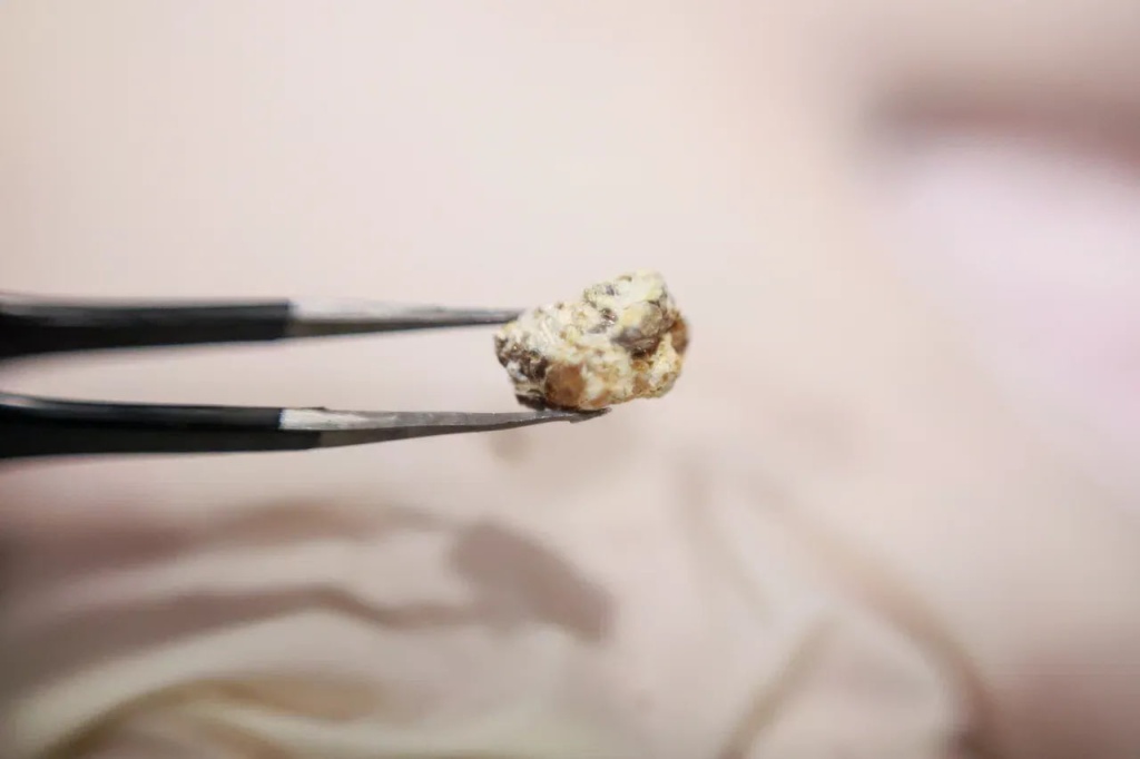 photo_2026-04-02_11-03-12 (3).jpg