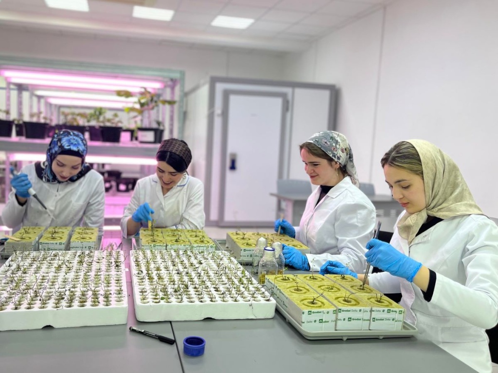WhatsApp Image 2026-04-21 at 19.26.02 (1).jpg