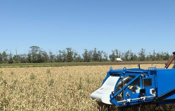 Уборочная без потерь: донские ученые создают комбайн, который экономит ресурсы и сохраняет качество зерна