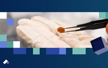 Световой автограф янтаря: в БФУ им. И. Канта создают спектральный атлас окаменелых смол мира