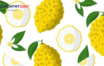 Ученые получили из сока цитрона наносеребро для обработки урожая