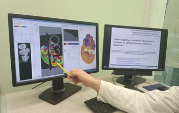Ученые СКФУ разработали новый подход к проведению доклинических испытаний 