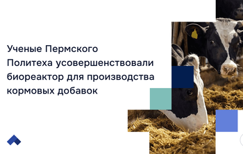 Ученые Пермского Политеха усовершенствовали биореактор для производства кормовых добавок