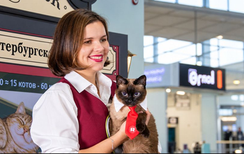 В Пулково багаж теперь измеряют в котах