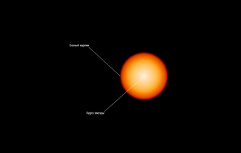 Астрофизики БФУ им. Канта создали модель эволюции двойных звездных систем