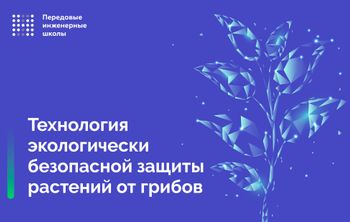 В Передовой инженерной школе Дальнего Востока работают над технологией экологически безопасной защиты растений от грибов