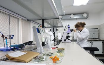 Бурятская ГСХА запускает программу ДПО по лекарственному растениеводству