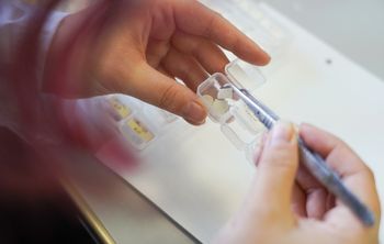 Новый полимер ВятГУ: надежная герметизация без утечек