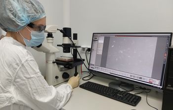 Нижегородские ученые разработали инновационную технологию для заживления ожогов