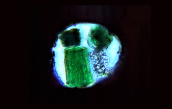 Ученые СФУ нашли новые «контейнеры» для молекул