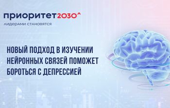 Новый подход в изучении нейронных связей поможет бороться с депрессией