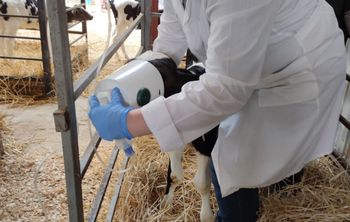 Мордовские учёные изобрели ингалятор для телят