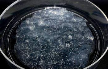 Кубанские ученые создают ранозаживляющий гель с уникальным составом