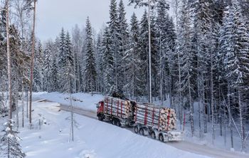 В Пермском Политехе нашли способ улучшить сцепление шин со снежными дорогами