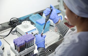 Повысить продуктивность отечественного животноводства смогли учёные СКФУ