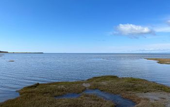 Зеленый прорыв Сахалина: как СахГУ помог региону стать углеродно нейтральным