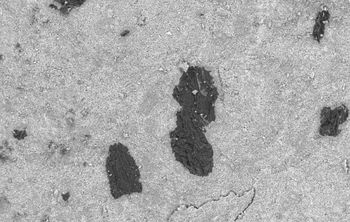 ЮУрГУ создаст керамику для замены импортных подшипников в нефтегазовой отрасли