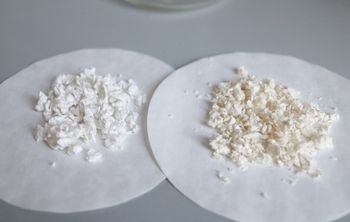 Ученые СПбГУПТД разработали новую технологию получения распушенной целлюлозы