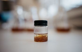 В НГТУ НЭТИ создали добавку для снижения холестерина