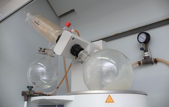 Разработан первый противоопухолевый препарат на основе борщевика Сосновского 