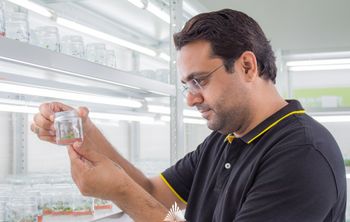 Ученые ЮФУ разработали первую в России и мире карту метагенома почв