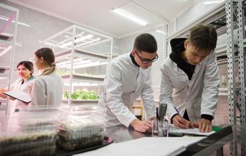 Сургутские ученые «отмывают» почвы от дизеля с помощью пищевой добавки