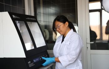 Ученые ДВФУ выведут особый вид устриц