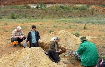 Ученые ЮФУ создают искусственный чернозем в Ростовской области