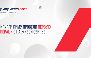 Хирурги ПИМУ провели первую операцию на живой свинье