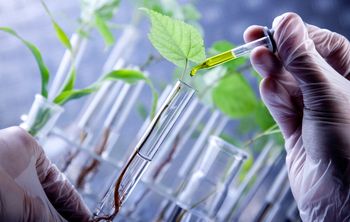 Развитие сельского хозяйства в приоритете