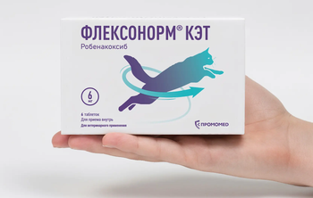 Ученые ДГТУ провели испытания нового анальгетического препарата для кошек