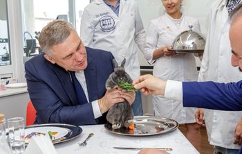 Ростовские ученые разработали искусственное мясо из клеток кролика