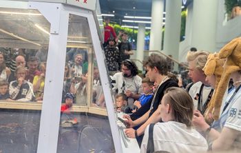 Роботы «Ласка» взяли золото и серебро: две команды ПИШ СПбПУ одержали победу на крупнейшем фестивале робототехники