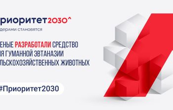 Ученые разработали средство для гуманной эвтаназии сельскохозяйственных животных