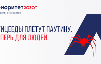 Птицееды плетут паутину. Теперь для людей