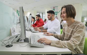 Цифровая навигация: студент УдГУ создал атлас ИТ-профессий на основе реальных вакансий