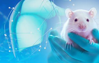 Ученые трансплантировали фрагмент напечатанной на 3D-принтере печени 