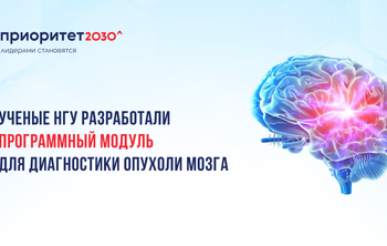 Ученые НГУ разработали программный модуль для диагностики опухоли мозга