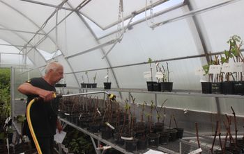 Белгородские ученые определят самые рентабельные сорта винограда для российских виноделов