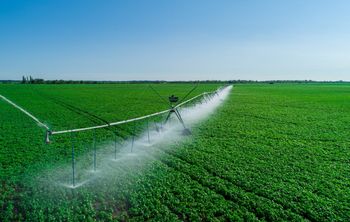 Ученые разработали интеллектуальную систему полива 