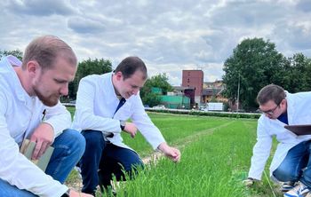 Суперурожай по науке: в Тимирязевской академии повысили всхожесть льна на 18%