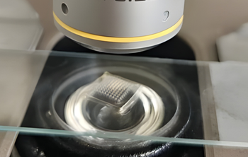 Ученые БФУ создают микроигольчатые пластыри для безболезненной доставки лекарств