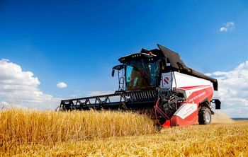 Качество под контролем: студенты ПИШ ДГТУ создали систему мгновенной оценки зерна