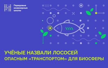 Ученые назвали лососей опасным “транспортом” для биосферы