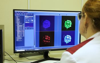 Отследить и обезвредить: в СибГМУ создали 3D-модель, которая отслеживает эффективность лекарств против метастазов