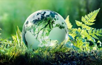 Российские университеты разрабатывают «зеленые» технологии и спасают природу