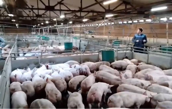 Тепловизор-ветеринар: студенты ДГТУ разработали систему раннего выявления болезней у животных