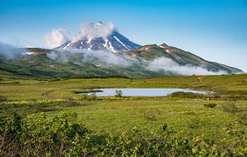 Учёные КамГУ им. Витуса Беринга изучат чужеродные виды растений и их воздействие на растительность Камчатки