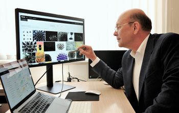 Ученые обнаружили «социальное» поведение магнитных наночастиц