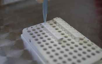 Белгородские ученые выявили влияющие на развитие язвенной болезни гены